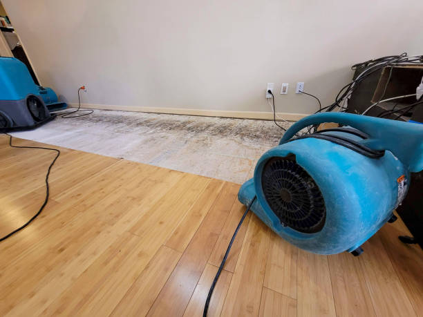 Professional Basement Flood Cleanup technician working in Akron, NY